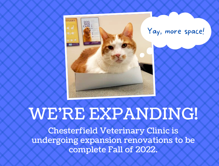 Your favorite veterinary clinic is getting bigger!