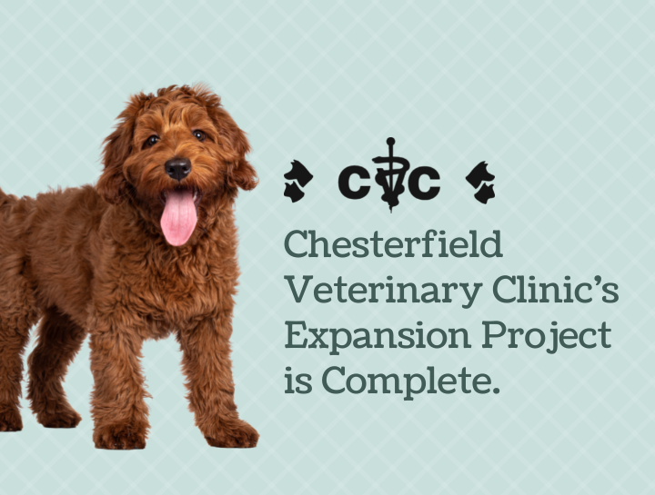 Your favorite veterinary clinic has expanded!